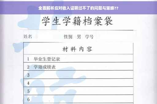 全面解析应对收入证明过不了的问题与策略??