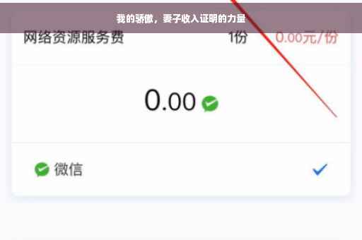 我的骄傲，妻子收入证明的力量