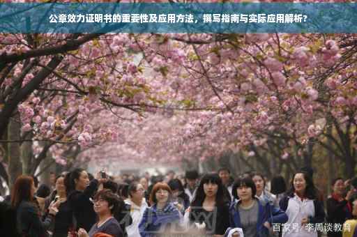 公章效力证明书的重要性及应用方法，撰写指南与实际应用解析?
