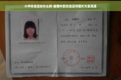 小学毕业证长什么样-新疆中职毕业证书图片大全高清
