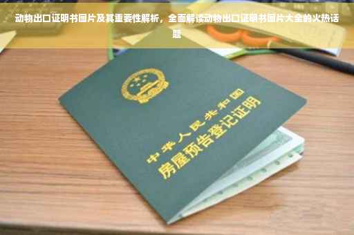 动物出口证明书图片及其重要性解析，全面解读动物出口证明书图片大全的火热话题