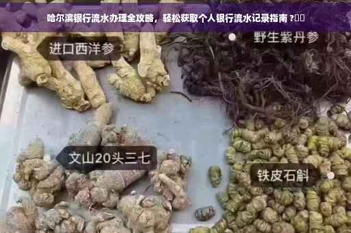 哈尔滨银行流水办理全攻略，轻松获取个人银行流水记录指南 ?⚡️