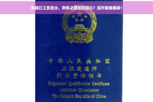 无银行工资流水，财务之路如何前行？应对策略揭秘！