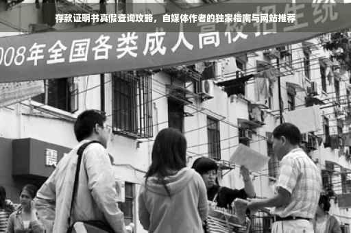 存款证明书真假查询攻略，自媒体作者的独家指南与网站推荐