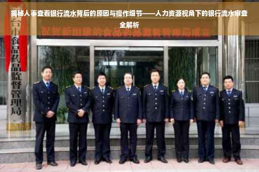 揭秘人事查看银行流水背后的原因与操作细节——人力资源视角下的银行流水审查全解析