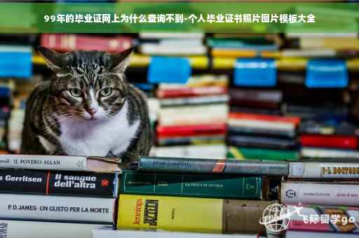 99年的毕业证网上为什么查询不到-个人毕业证书照片图片模板大全
