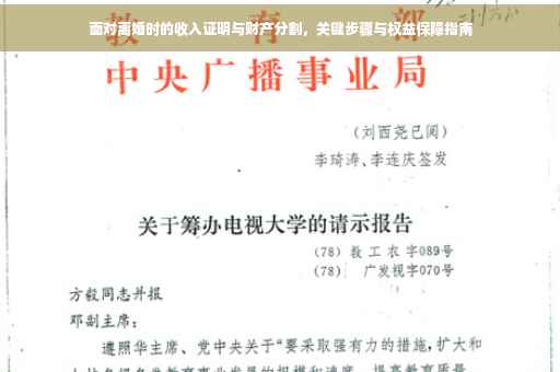 面对离婚时的收入证明与财产分割，关键步骤与权益保障指南