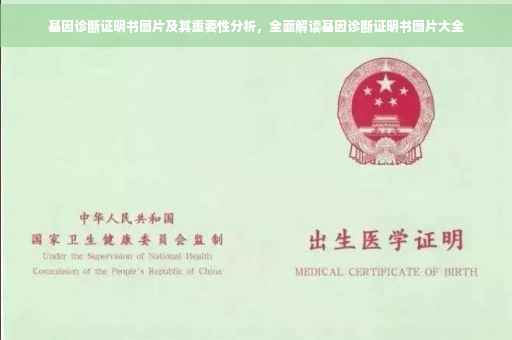 基因诊断证明书图片及其重要性分析，全面解读基因诊断证明书图片大全