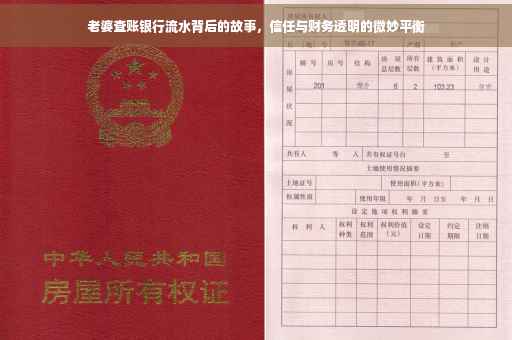 老婆查账银行流水背后的故事，信任与财务透明的微妙平衡