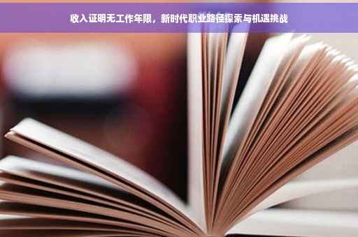 收入证明无工作年限，新时代职业路径探索与机遇挑战