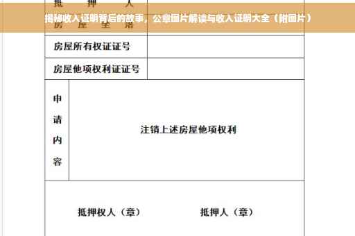 揭秘收入证明背后的故事，公章图片解读与收入证明大全（附图片）