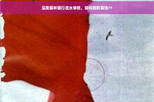深度解析银行流水审核，如何辨别真伪??
