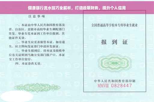 健康银行流水技巧全解析，打造透明财务，提升个人信用
