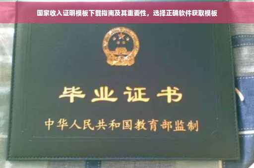 国家收入证明模板下载指南及其重要性，选择正确软件获取模板