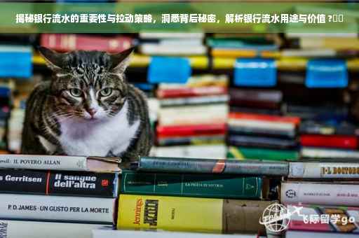 揭秘银行流水的重要性与拉动策略，洞悉背后秘密，解析银行流水用途与价值 ?⚡️