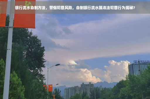 银行流水自制方法，警惕犯罪风险，自制银行流水属违法犯罪行为揭秘?