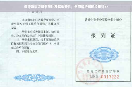 香港婚事证明书图片及其重要性，全面解析与图片集锦??