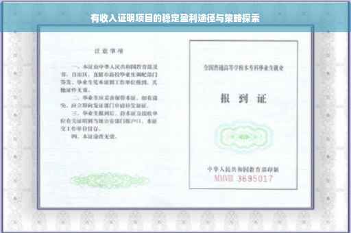 有收入证明项目的稳定盈利途径与策略探索