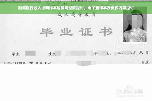 渤海银行收入证明样本解析与深度探讨，电子版样本及更多内容探讨