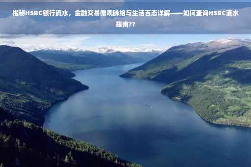 揭秘HSBC银行流水，金融交易微观脉络与生活百态详解——如何查询HSBC流水指南??