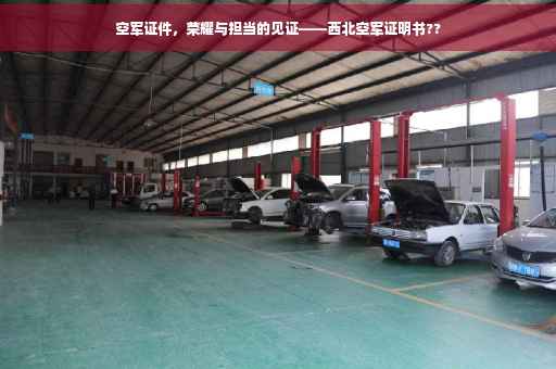 空军证件，荣耀与担当的见证——西北空军证明书??