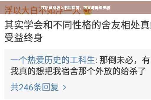 在职证明收入书写指南，范文与详细步骤