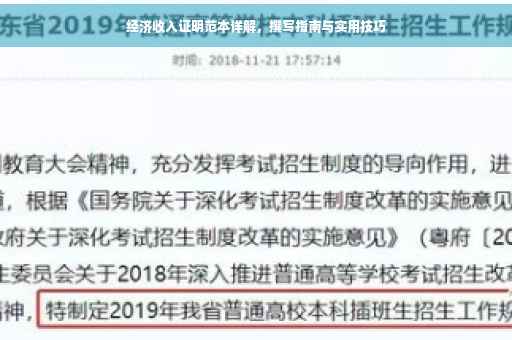 经济收入证明范本详解，撰写指南与实用技巧