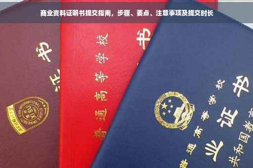 商业资料证明书提交指南，步骤、要点、注意事项及提交时长