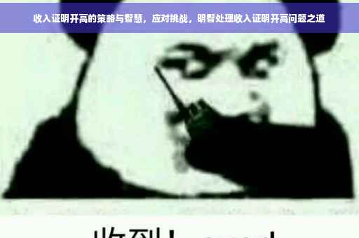 收入证明开高的策略与智慧，应对挑战，明智处理收入证明开高问题之道