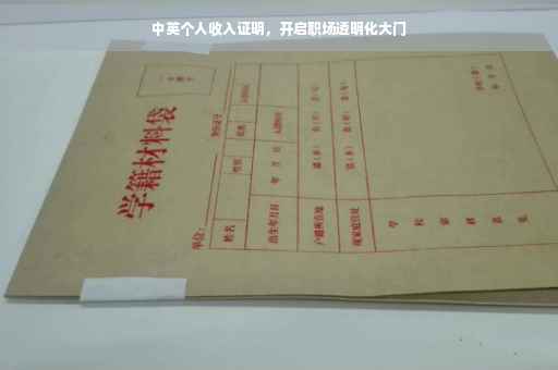 中英个人收入证明，开启职场透明化大门