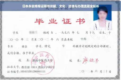 日本永驻婚姻证明书详解，文化、法律与办理流程全解析