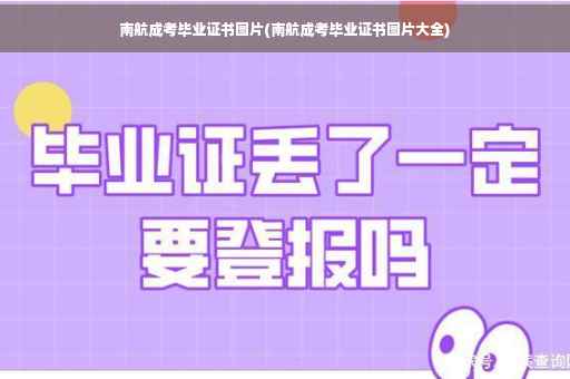 南航成考毕业证书图片(南航成考毕业证书图片大全)