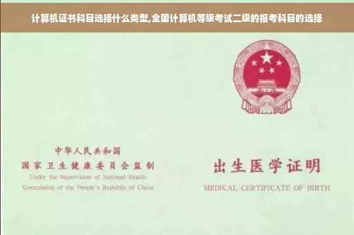 计算机证书科目选择什么类型,全国计算机等级考试二级的报考科目的选择