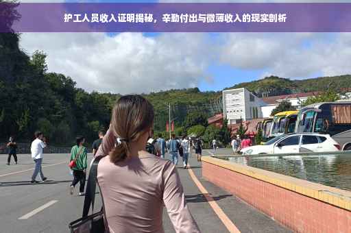 护工人员收入证明揭秘，辛勤付出与微薄收入的现实剖析