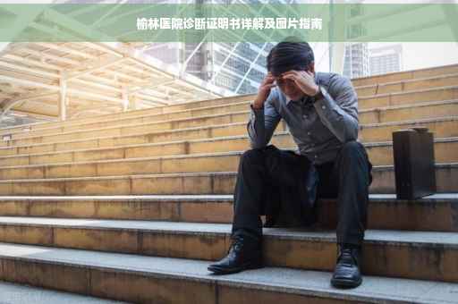 榆林医院诊断证明书详解及图片指南