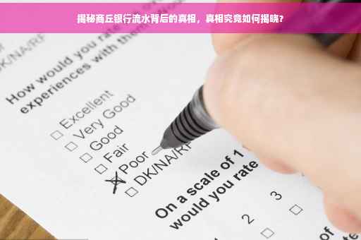 揭秘商丘银行流水背后的真相，真相究竟如何揭晓？
