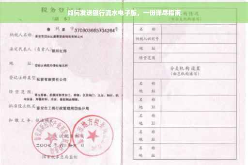 如何发送银行流水电子版，一份详尽指南