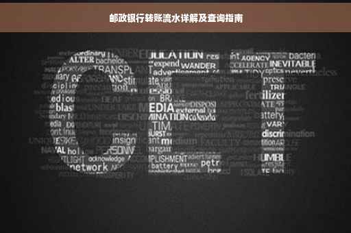 邮政银行转账流水详解及查询指南