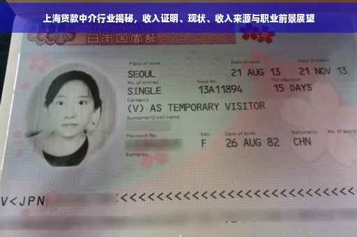 上海贷款中介行业揭秘，收入证明、现状、收入来源与职业前景展望