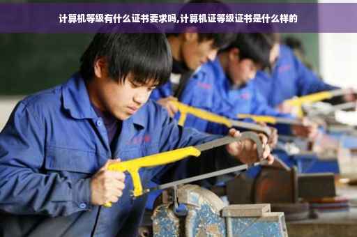 计算机等级有什么证书要求吗,计算机证等级证书是什么样的