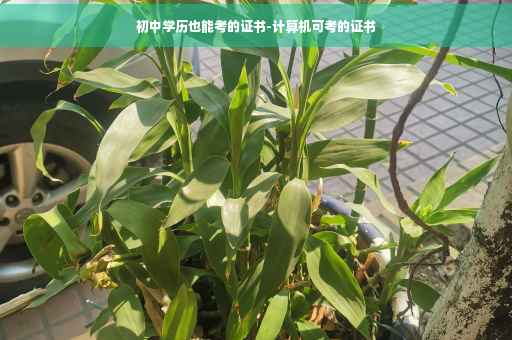 初中学历也能考的证书-计算机可考的证书