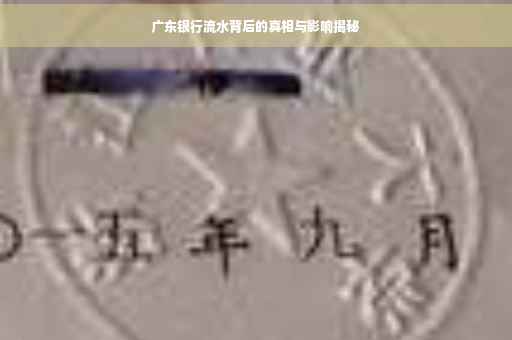 广东银行流水背后的真相与影响揭秘