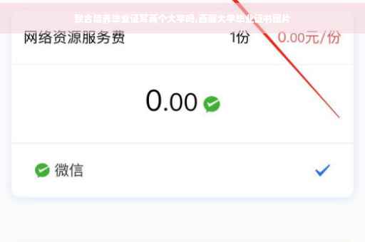 联合培养毕业证写两个大学吗,西藏大学毕业证书图片