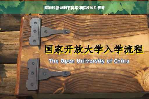 紫癜诊断证明书样本详解及图片参考