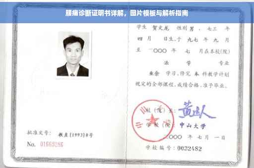 腰痛诊断证明书详解，图片模板与解析指南