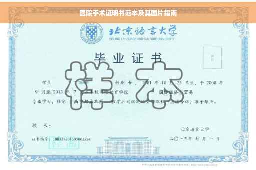 医院手术证明书范本及其图片指南