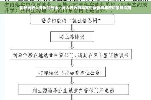 揭秘高收入背后的故事，月入过万的真实生活体验与应对策略指南