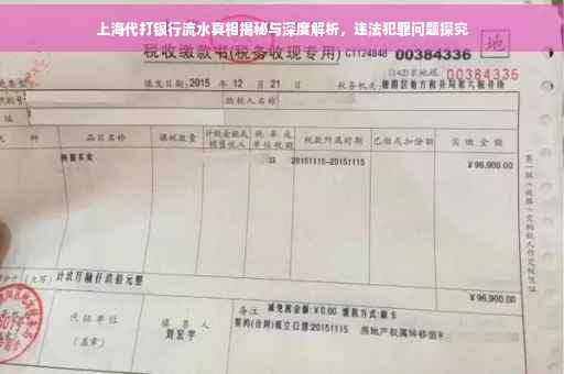 上海代打银行流水真相揭秘与深度解析，违法犯罪问题探究