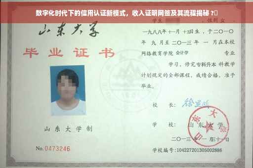 数字化时代下的信用认证新模式，收入证明网签及其流程揭秘 ?✨