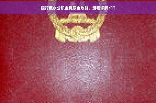 银行流水公积金提取全攻略，流程详解?⚡️